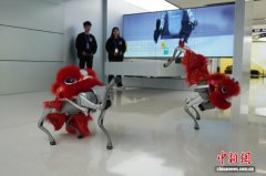 不只展现、租赁、发卖支流人形机械人产物